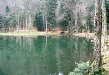 Tour Wandern Lepuix - La Planche des Belles Filles - Photo