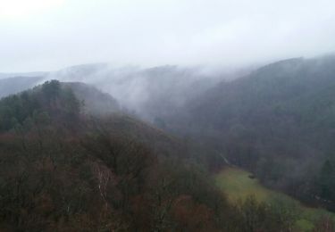 Excursión Senderismo Aywaille - sedos ninglinspo fourchette drouet  - Photo