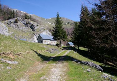 Tour Wandern Boutx - Pic de Cagire - Photo