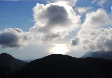 Tocht Stappen Peille - Cime du Baudon - Photo