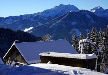 Tour Schneeschuhwandern Morzine - Les Dérêches en raquettes - Photo
