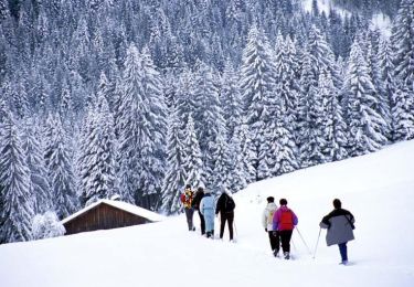 Tour Schneeschuhwandern Morzine - De l'Erigné à Chardonnières en raquettes - Photo