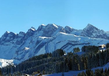 Tour Schneeschuhwandern Morzine - De l'Erigné à Fréterolles en raquettes - Photo