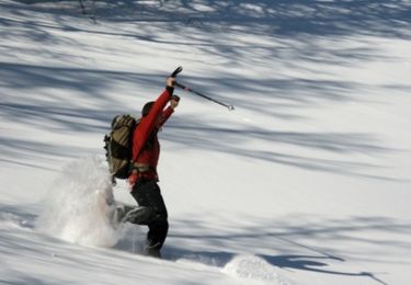 Trail Snowshoes Les Gets - Du belvédère du Pléney aux Chavannes en raquettes - Photo