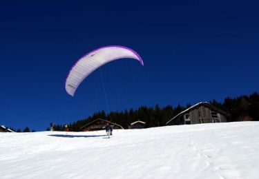 Tocht Sneeuwschoenen Morzine - Les crêtes de Zore en raquettes - Photo