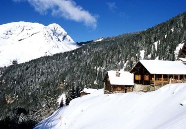 Tocht Sneeuwschoenen Morzine - Le village des Lindarets en raquettes - Photo