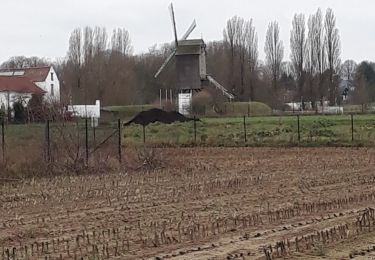 Randonnée Autre activité Uccle - 15 1 2019 promenade verte 1 - Photo