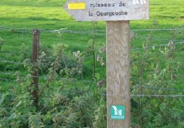 Trail Walking Rejet-de-Beaulieu - Sentier du ruisseau de Gourgouche  (Rejet-de-Beaulieu) - Photo