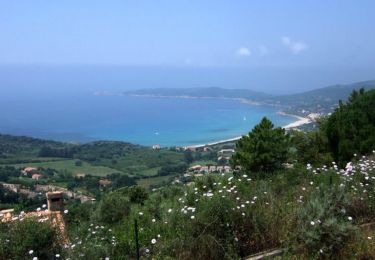 Tour Wandern Marignana - Mare e Monti - De E Case à Cargèse - Photo
