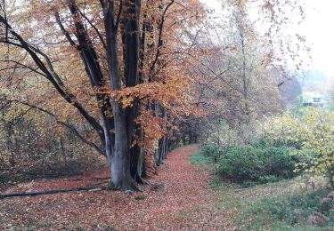 Trail Walking Profondeville - PR 16 - Le Bois de Nîmes - Photo