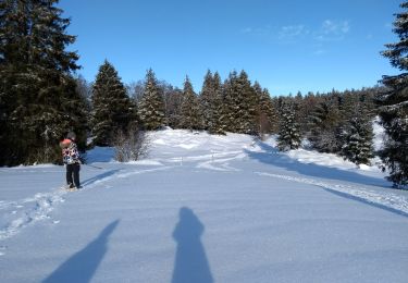 Tour Schneeschuhwandern Woll - 19-01-2019 Col de grosse Pierre - Photo