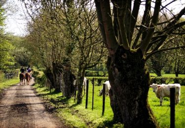 Trail Walking Mecquignies - Sentier des druides  - Mecquignies - Photo