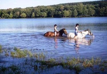 Trail Equestrian Martigny-le-Comte - Tour équestre du Haut Charolais - Martigny le Comte -  Le Rousset - Photo