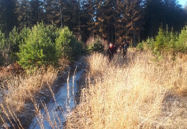 Tour Nordic Walking Theux - Chaufheid_20_01_2019 - Photo