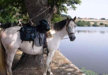 Percorso Cavallo Bonnay - Tour équestre du Haut Charolais - Saint-Ythaire - Suin - Photo
