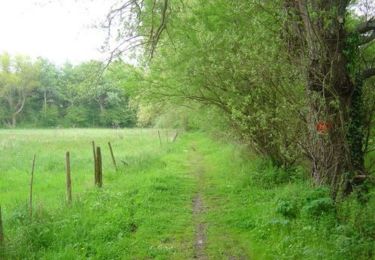 Trail Walking Merlimont - Le sentier de la forêt - Merlimont - Photo