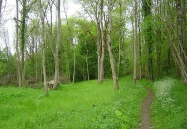 Trail Walking Longvilliers - Le bois de Longvilliers - Photo