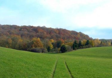 Trail Walking Vigy - Randonnée du Haut Chemin - Le chemin de la Reine à Vigy - Photo