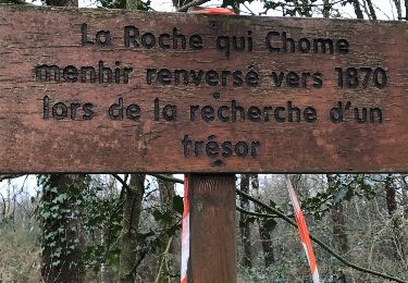 Trail Walking Laillé - 24.01.2019 - LAILLÉ Nord et Sud - Photo