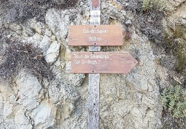 Randonnée A pied Lucéram - Col St roch - Photo