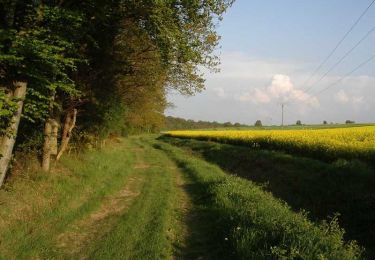 Trail Walking Mesnil-en-Ouche - Circuit des vallons d'Epinay  - Photo
