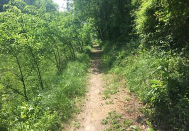 Trail Walking Puyravault - 8 mai 2018 jour 4 - Photo