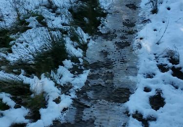 Trail Walking Le Lavandou - le lavandou janvier 2019  - Photo