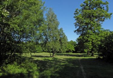 Randonnée Marche Frépillon - Méry Forêt de Montmorency - Photo