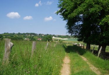 Trail Walking Salency - Salency - Circuit de la Rosière - Photo