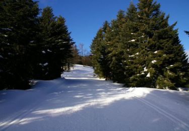 Randonnée Raquettes à neige Aucun - Le Soum de Berducou - Photo