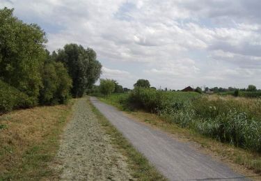 Trail Walking Fenain - A la découverte du Marais - Fenain - Photo