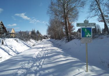 Excursión Deportes de invierno Sentheim - SentheimGuewenheimSki - Photo