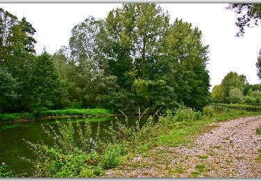 Trail Walking Belloy-sur-Somme - Circuit du bois d'Yseux - Belloy-sur-Somme - Photo