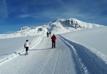 Tocht Sneeuwschoenen Auris - Alpe d'Huez - Plateau Rochette - Photo