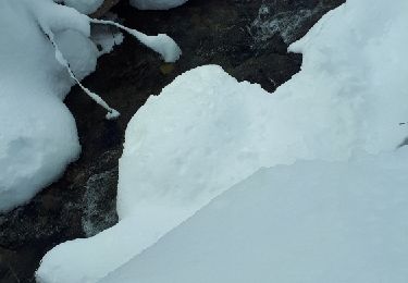 Tocht Sneeuwschoenen Auris - Alpe d'Huez - Gorges de La Sarenne - Photo