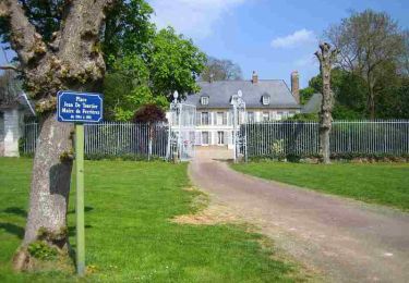 Trail Walking Ailly-sur-Somme - Circuit de la forêt d'Ailly  -  Ailly-sur-Somme - Photo