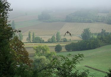 Randonnée Cheval Engayrac - Campagnac, balade champêtre - Pays de l'Agenais - Photo