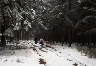 Excursión Marcha nórdica Theux - Polleur_03_02_2019 - Photo