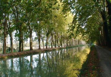 Excursión Senderismo Caumont-sur-Garonne - Le Canal de Caumont à Fourques - Pays Val de Garonne - Gascogne - Photo