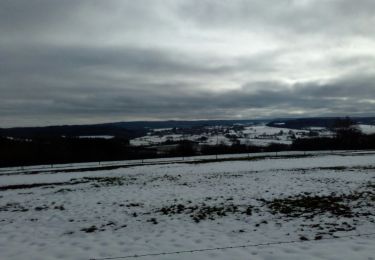 Tocht Stappen Marche-en-Famenne - Grimbiemont - Photo