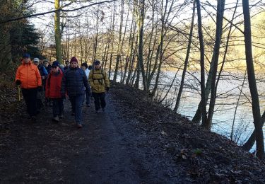 Trail Walking Montigny-le-Bretonneux - Moulin à Renard 07/02/2019 - Photo