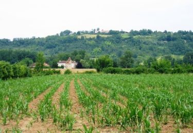 Randonnée Marche Montesquieu - Sur les terres de Montesquieu, entre Garonne et vergers - Pays d'Albret - Photo