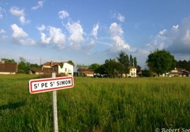 Trail Walking Saint-Pé-Saint-Simon - Saint-Pé-Saint-Simon, aux confins du Gers et des Landes - Pays d'Albret - Photo