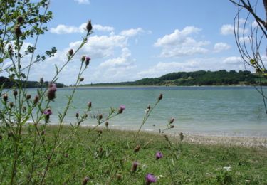 Tocht Stappen Tourliac - Un sentier découverte autour du lac du Brayssou - Pays du Dropt - Photo