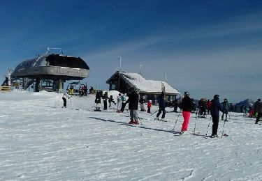 Tocht Sneeuwschoenen Longevilles-Mont-d'Or - Longeville Mont d'or  - Photo