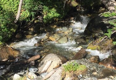 Trail Walking  - Glacier Martial Ushuaia 13 février 2019 - Photo