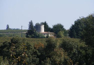 Randonnée Marche Villeneuve-de-Duras - Villeneuve-de-Duras, à l'orée de la Gironde - Pays du Dropt - Photo
