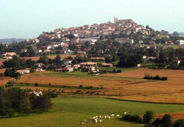 Randonnée Marche Monflanquin - La bastide de Monflanquin, vue du sud - Pays de la vallée du Lot - Photo