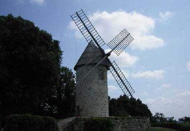 Randonnée V.T.T. Montpezat - Montpezat-d'Agenais, le circuit du moulin à vent - Pays de la vallée du Lot - Photo