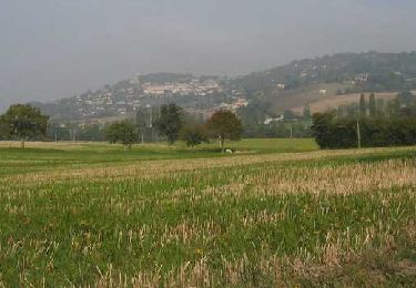 Randonnée Marche Penne-d'Agenais - Magnac, balade autour du Pech de la Citerne - Pays de la vallée du Lot - Photo
